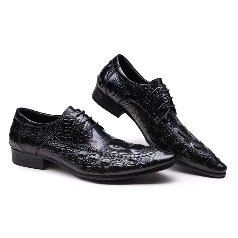 Derby William Croc Embossed VES – č. 112