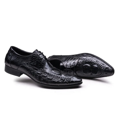 Derby William Croc Embossed VES - No. 112