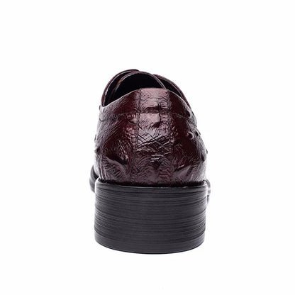 Derby Percy Embossed Croc VES - No. 21