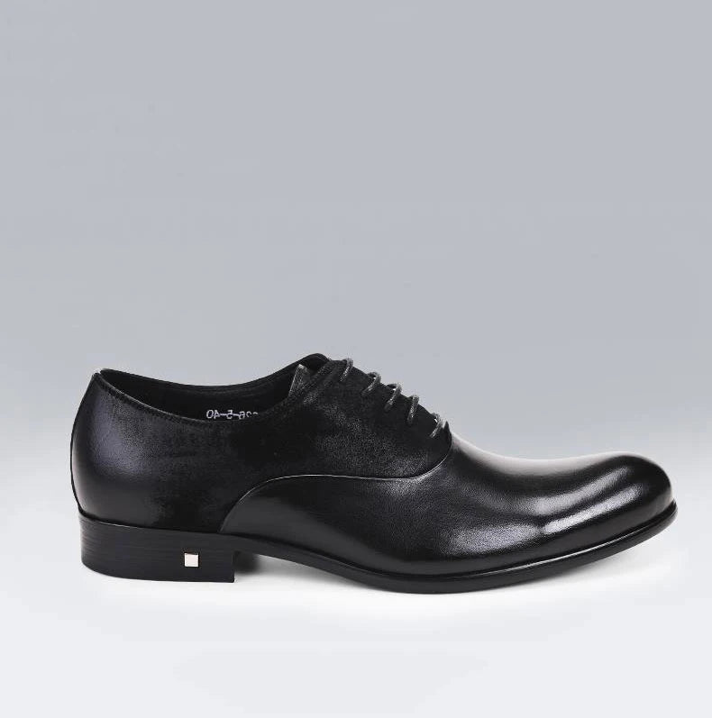 Oxford Charles Coated VES - No. 22