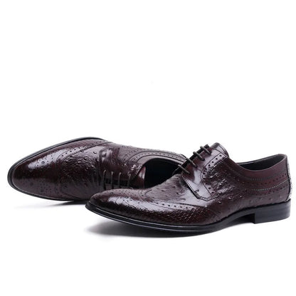 Derby Arthur Brogued Embossed VES - č. 32