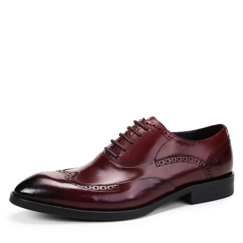 Oxford Harry Brogued VES – č. 77