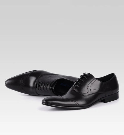 Oxford Harry Classic Brogued VES - No. 13