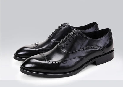 Oxford Harry Brogued VES – č. 77