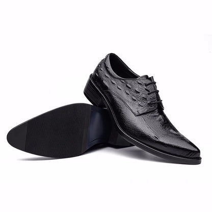 Derby Percy Embossed Croc VES - No. 21