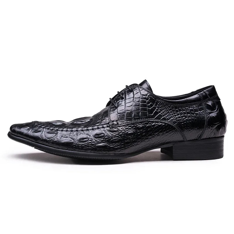 Derby William Croc Embossed VES – č. 112