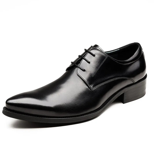 Derby Charles Solid Classic VES - No. 37