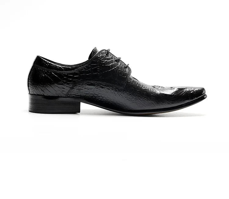 Derby James Croc Embossed VES - č. 24