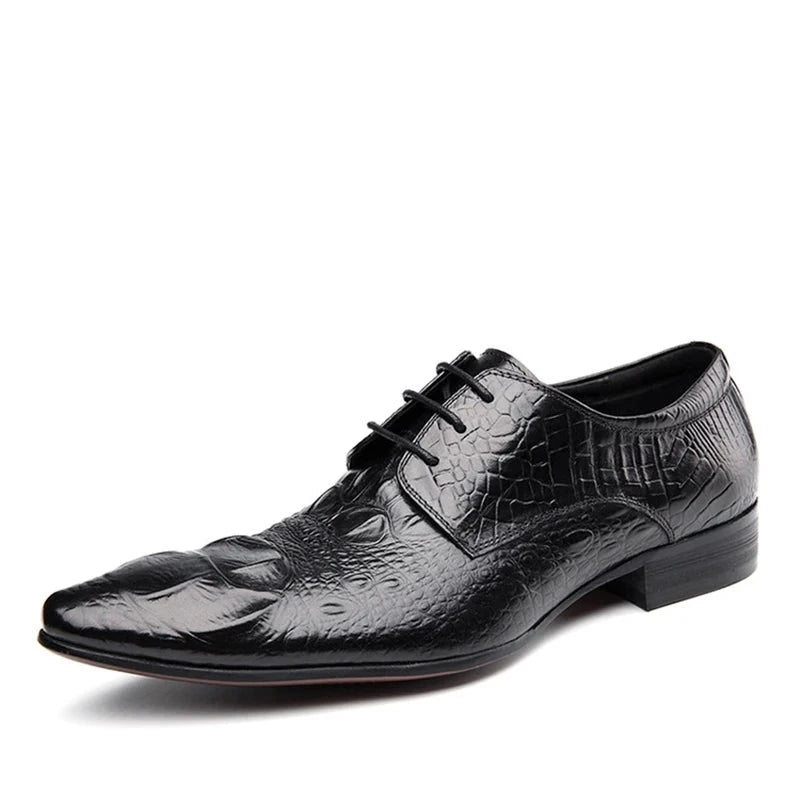 Derby James Croc Embossed VES - č. 24