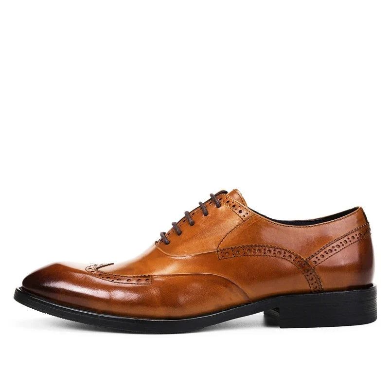 Oxford Harry Brogued VES – č. 77