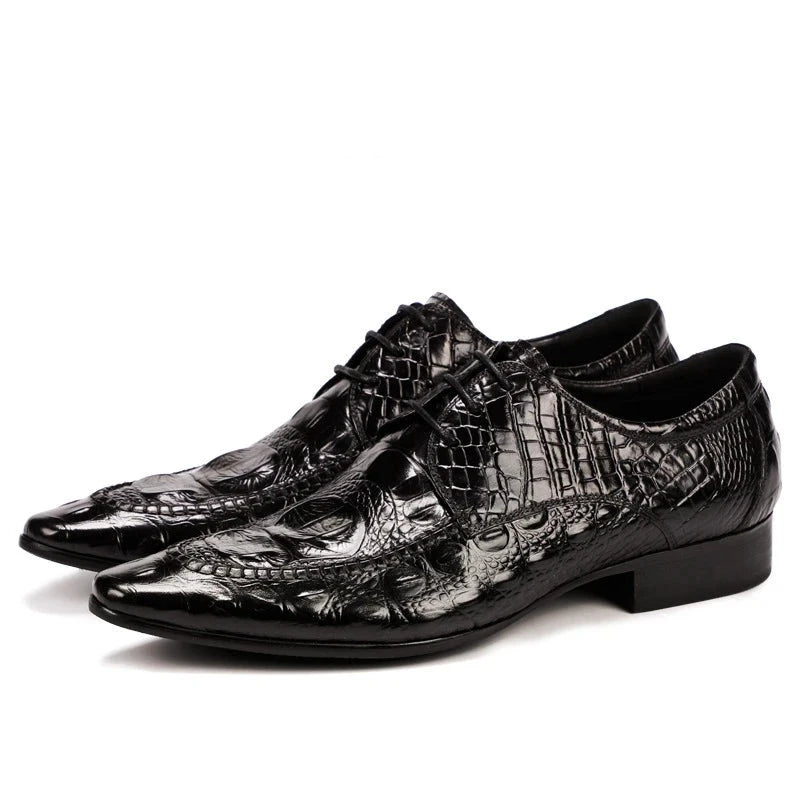 Derby Albert Croc Embossed VES - No. 3