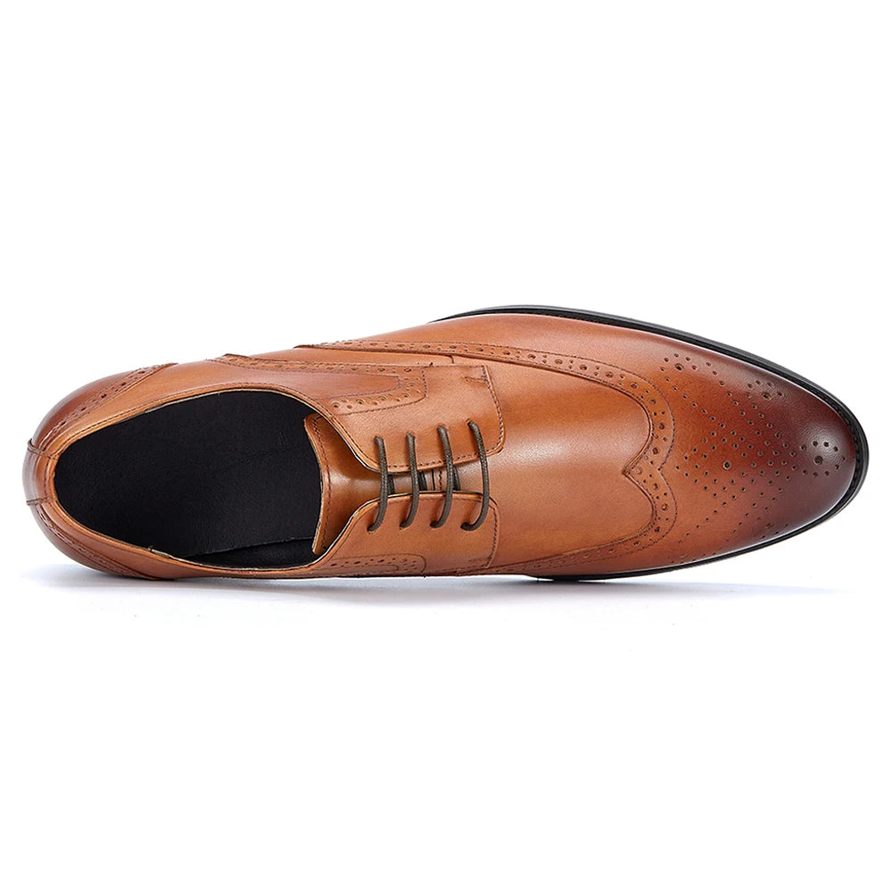 Derby Charles Classic Brogued VES - č. 34