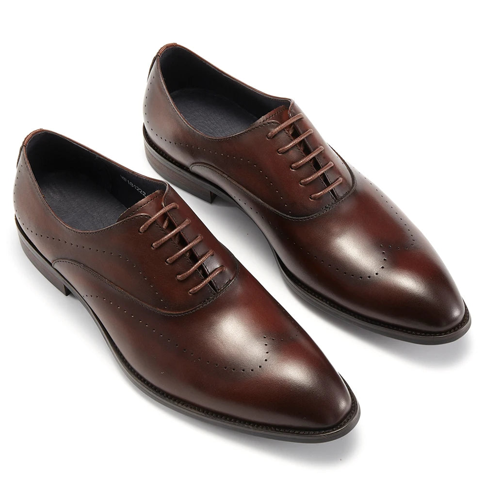 Oxford Charles Brogued VES – č. 61