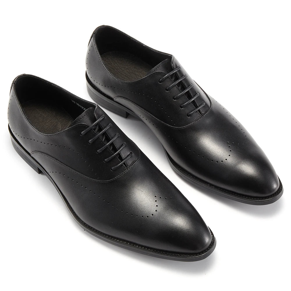 Oxford Charles Brogued VES – č. 61