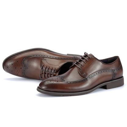 Derby Harvey Brogued Classic VES – č. 36