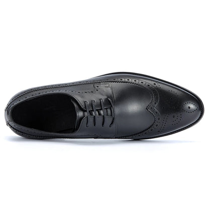 Derby Charles Classic Brogued VES – č. 49