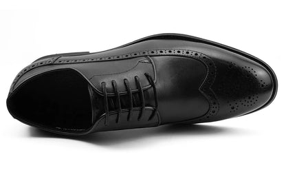 Derby Harvey Brogued Classic VES - No. 36