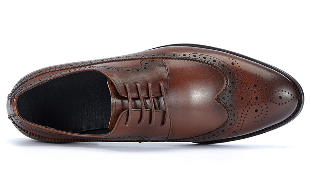 Derby Charles Classic Brogued VES – č. 49