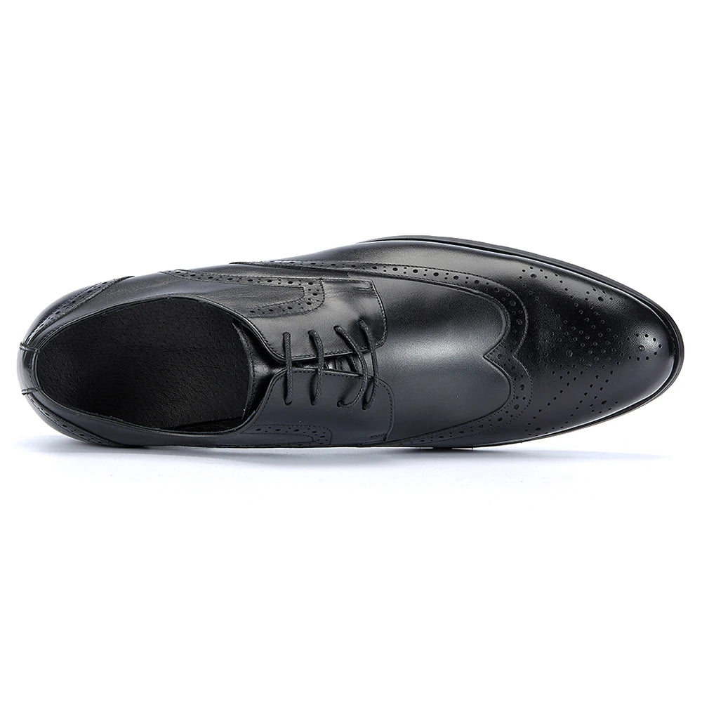 Derby Charles Classic Brogued VES - č. 34